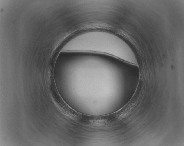 X0000069810448200605190849