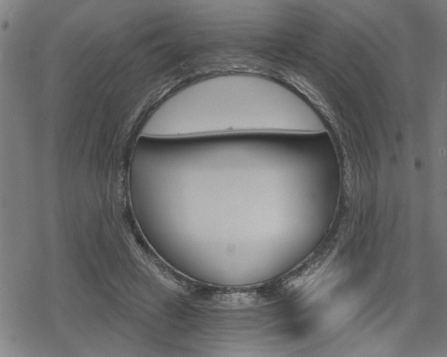 X0000069810449200605190849