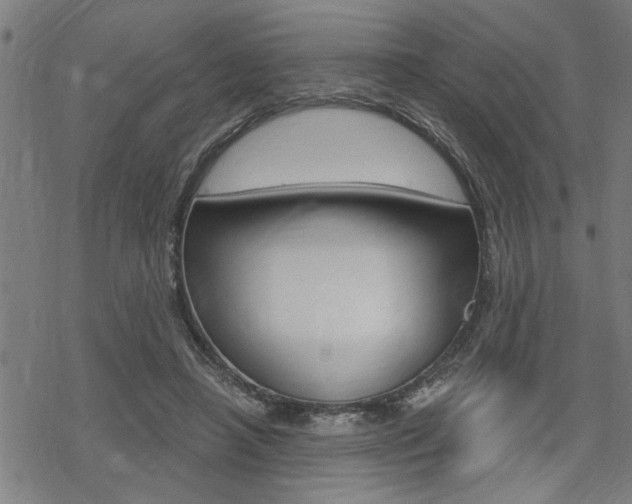 X0000069810450200605190849