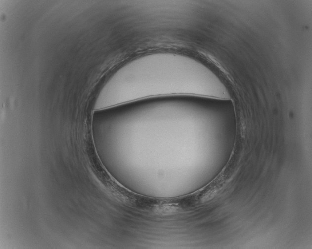 X0000069810451200605190849