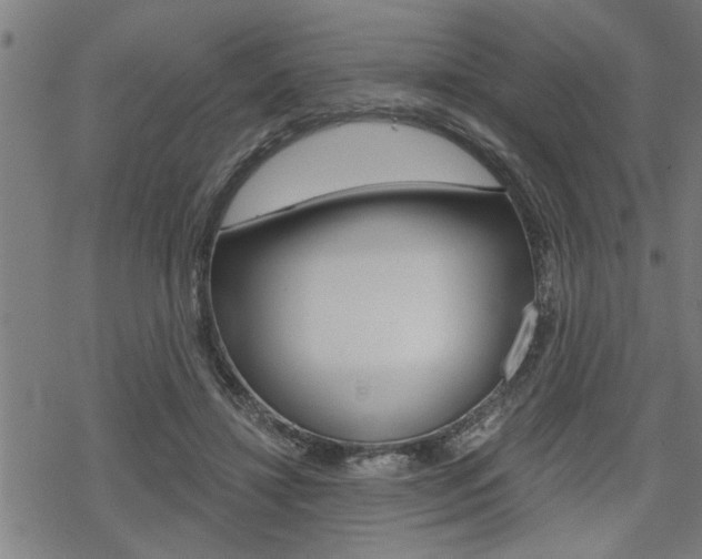 X0000069810452200605190849