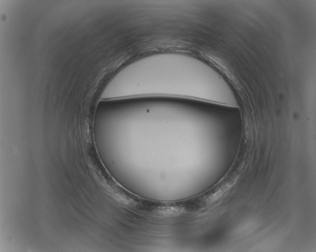 X0000069810453200605190849