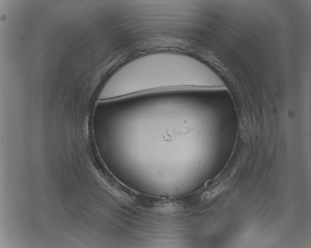 X0000069810454200605190849