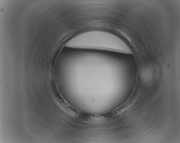 X0000069810455200605190849