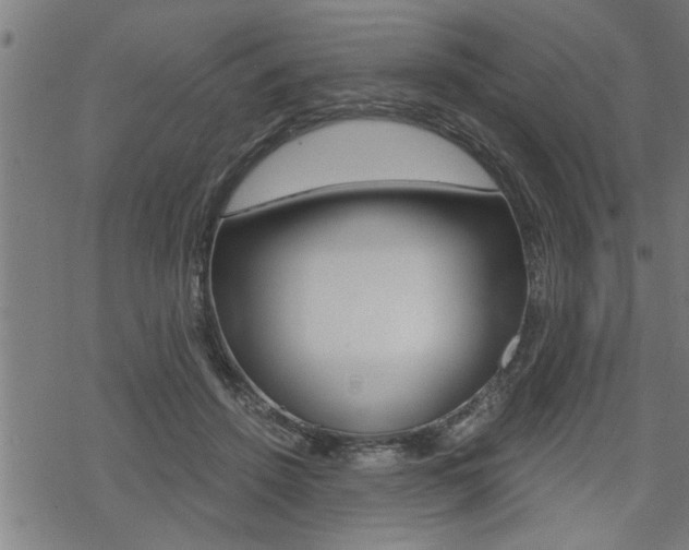 X0000069810456200605190849