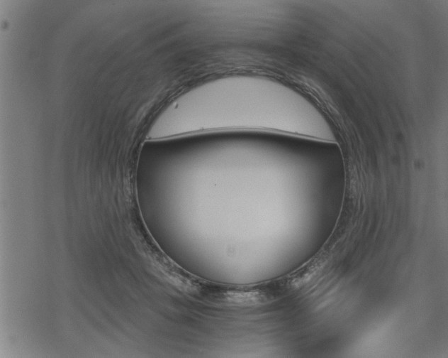 X0000069810457200605190849