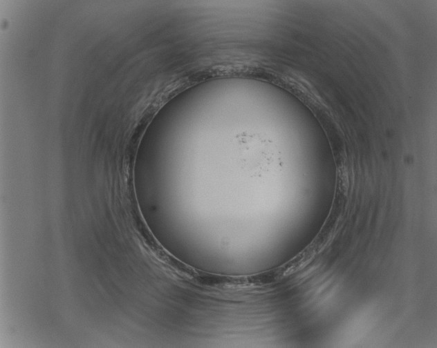 X0000069810458200605190849