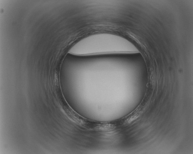 X0000069810459200605190849