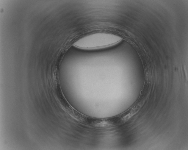 X0000069810460200605190849