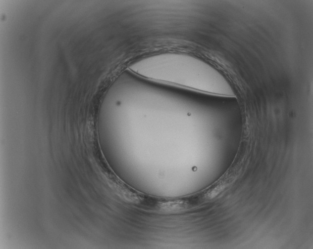 X0000069810461200605190849