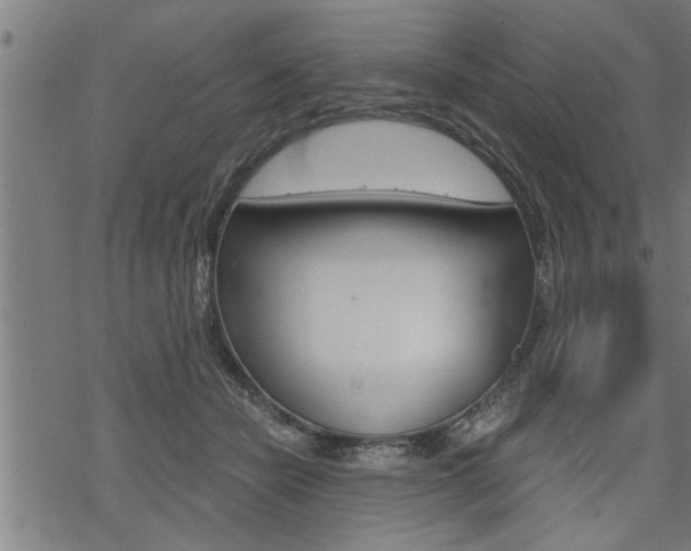 X0000069810462200605190849