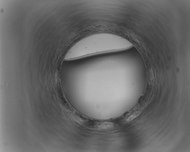 X0000069810463200605190849