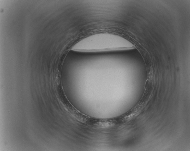 X0000069810464200605190849