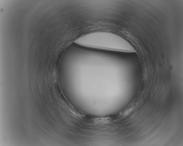 X0000069810465200605190849