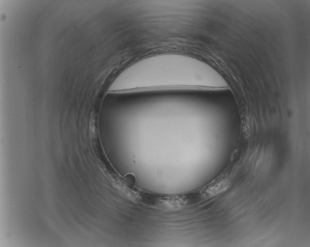 X0000069810466200605190849