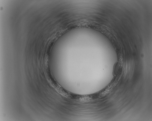 X0000069810468200605190849