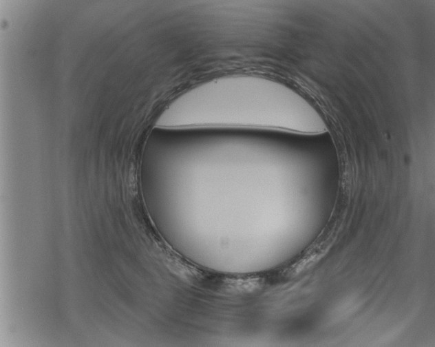 X0000069810469200605190849