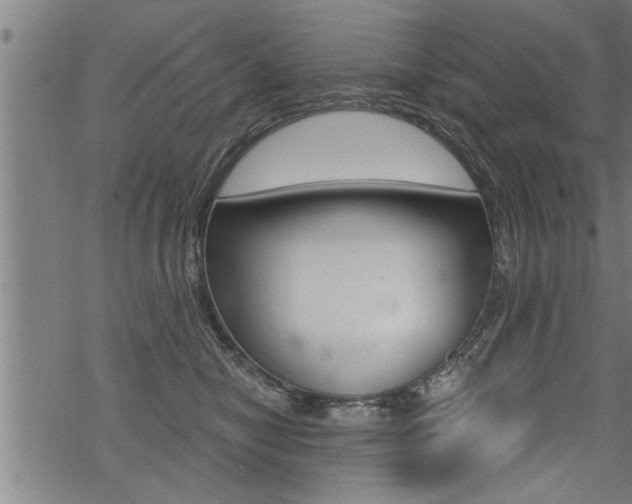 X0000069810470200605190849