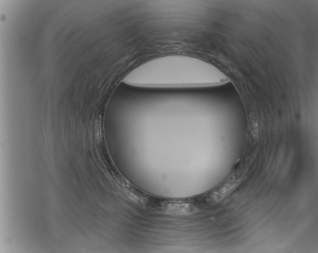 X0000069810471200605190849