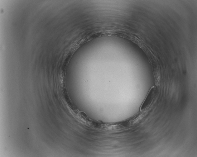 X0000069810472200605190849