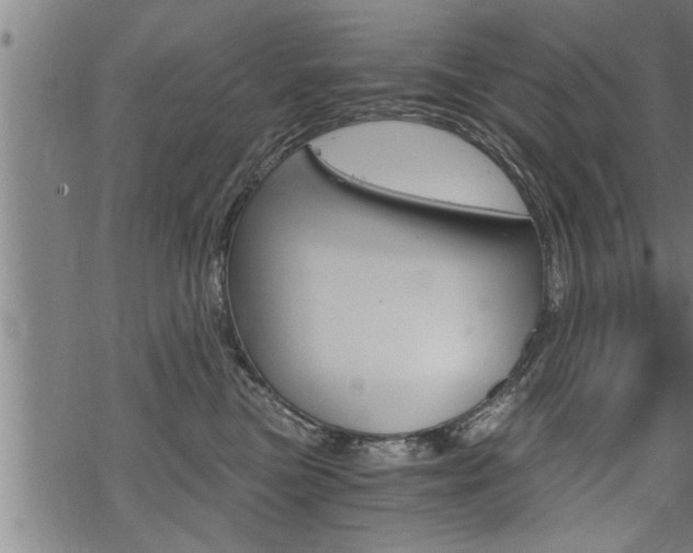 X0000069810473200605190849