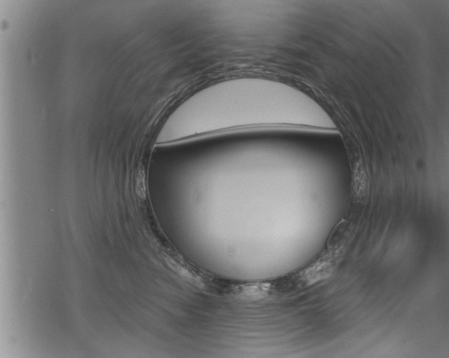 X0000069810474200605190849