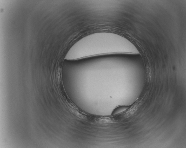 X0000069810475200605190849