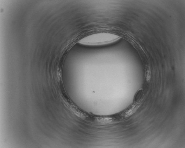 X0000069810476200605190849