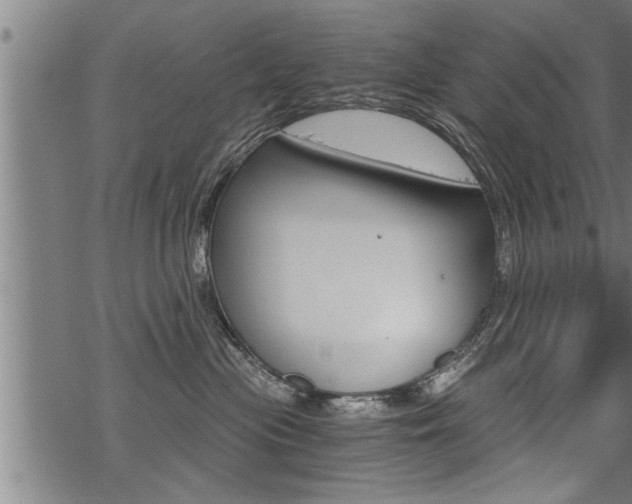 X0000069810477200605190849