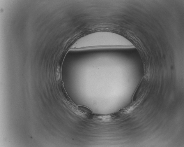 X0000069810478200605190849