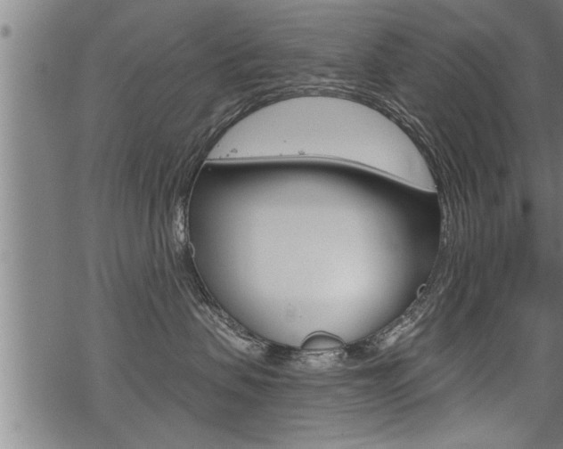 X0000069810479200605190849