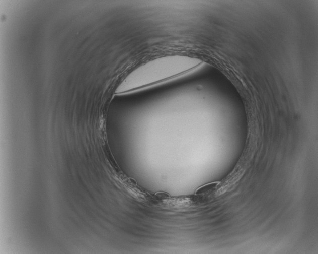 X0000069810480200605190849