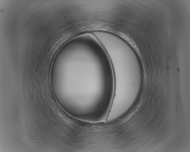 X0000069810481200605190849