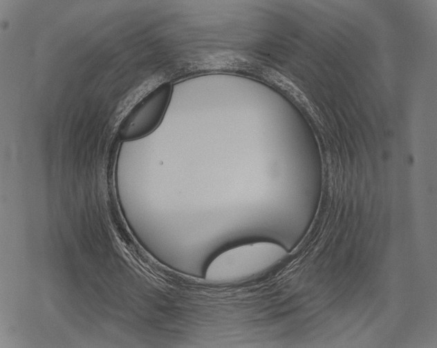 X0000069810482200605190849