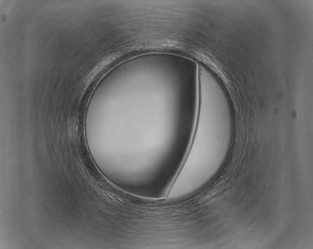 X0000069810483200605190849