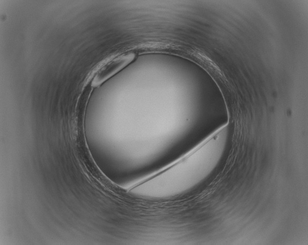 X0000069810484200605190849