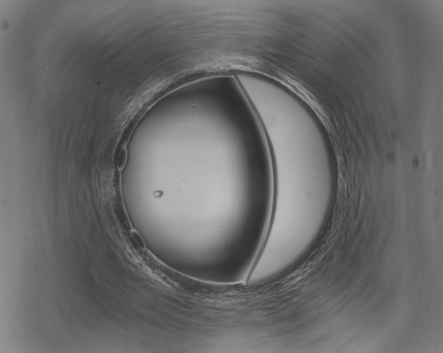 X0000069810485200605190849