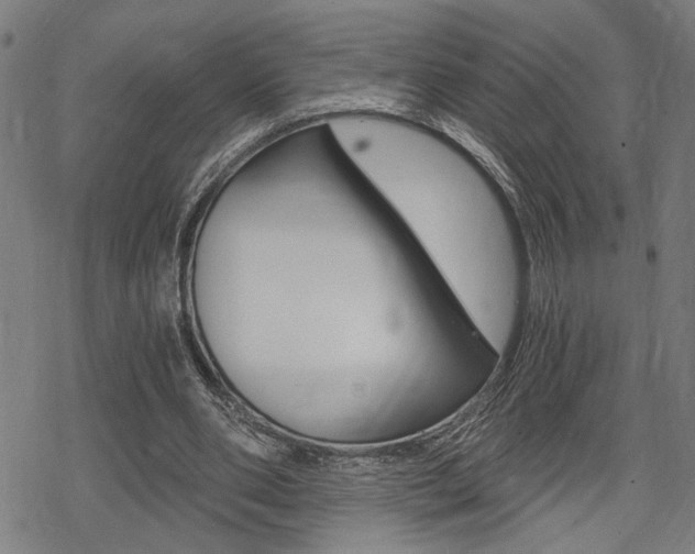 X0000069810486200605190849