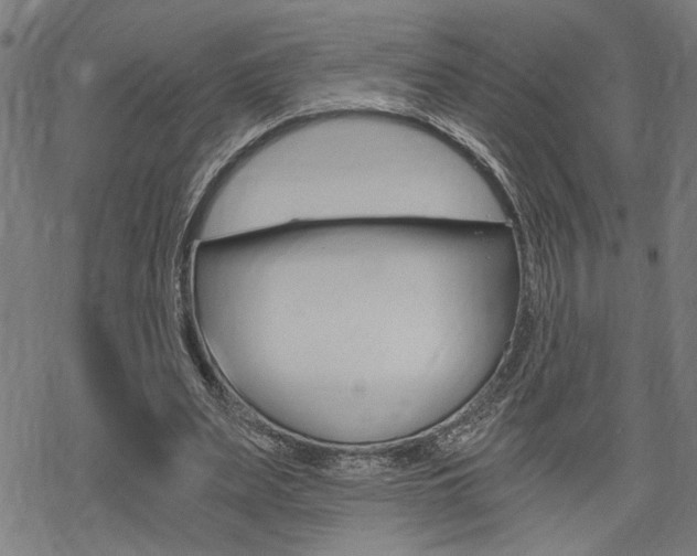 X0000069810487200605190849