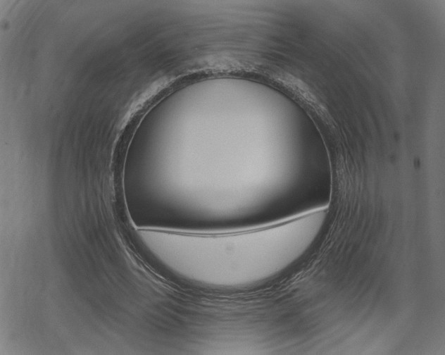 X0000069810488200605190849