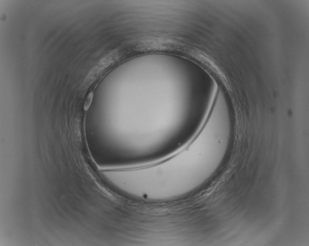 X0000069810489200605190849