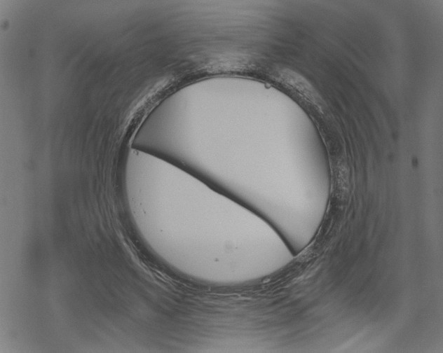 X0000069810491200605190848