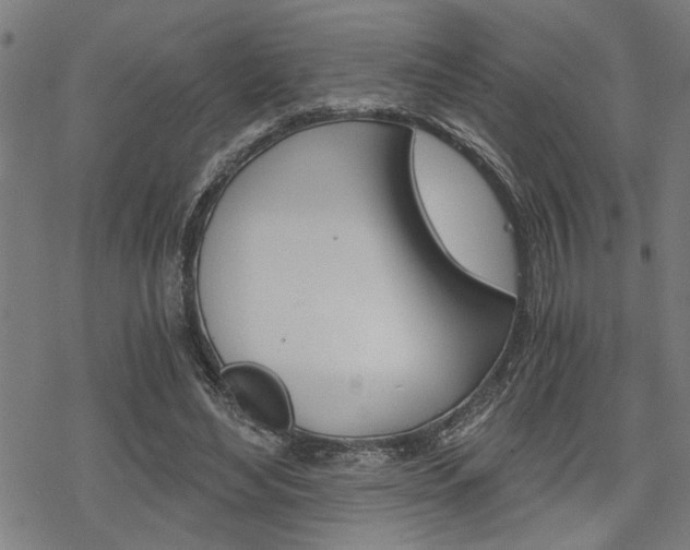 X0000069810492200605190848