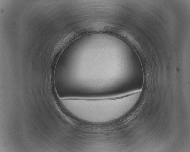 X0000069810493200605190848