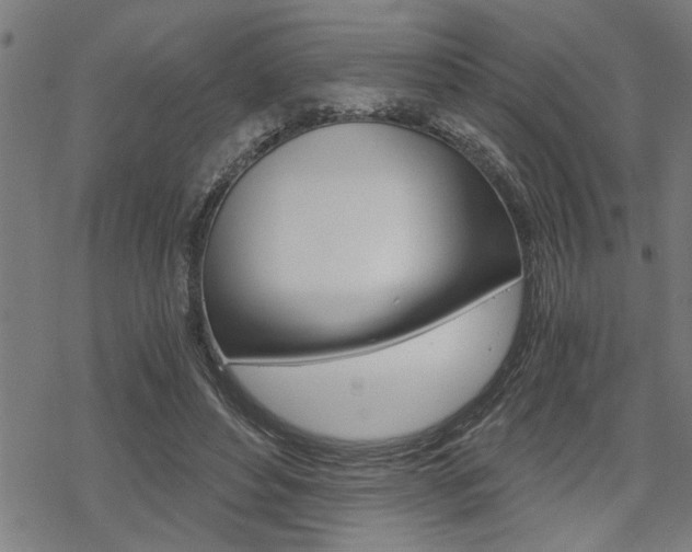 X0000069810496200605190848