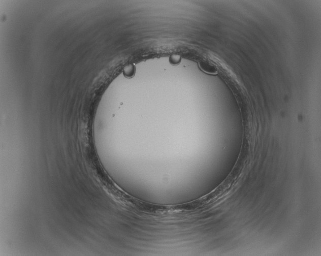 X0000069810497200605190848