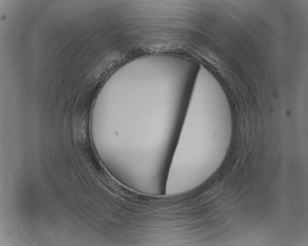 X0000069810499200605190848