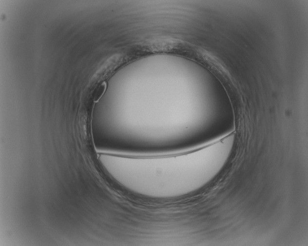 X0000069810501200605190848