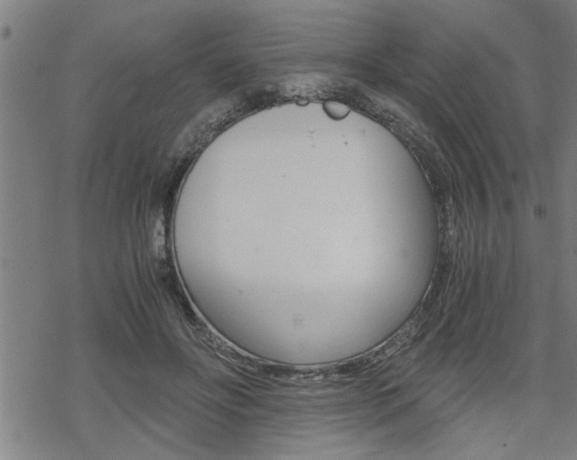 X0000069810502200605190848