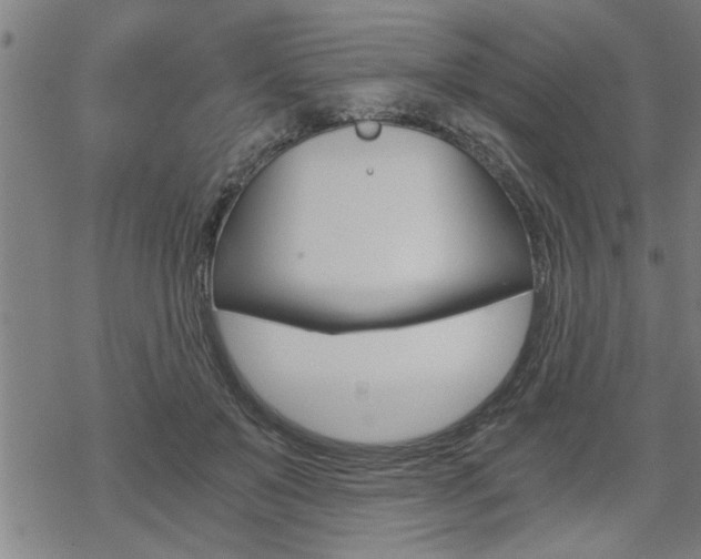 X0000069810503200605190848